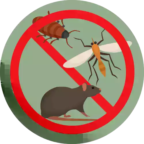 Programma di sanificazione e disinfestazione 2° ciclo del 2025 della rete di fognatura nera